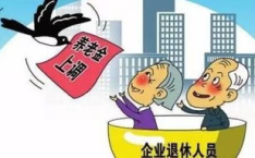 企业退休人员基本养老金,企业退休人员基本养老金政策解读与未来展望