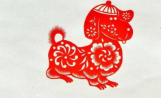 吃亏是福是什么生肖,吃亏是福的智慧人生